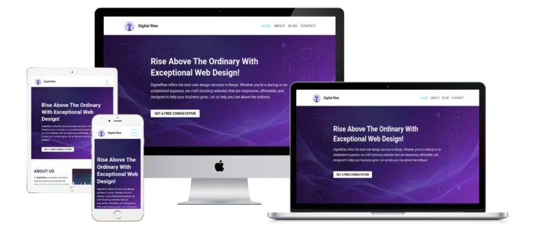 Digital Rise offerin Affordable Web Design Services in Kenya